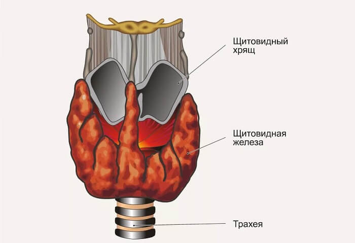 Причины неприятного запаха под мышками Эндокринные нарушения