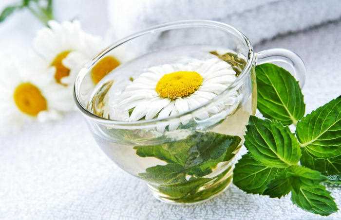 Настой ромашки и мяты
