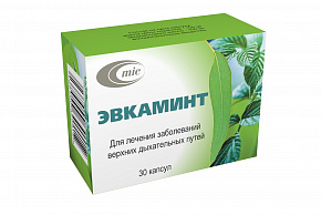Инструкция по применению Эвкаминт (Капсулы): описание, состав, ФТГ, МНН Инструкция по применению Эвкаминт (Капсулы): описание, состав, ФТГ, МНН