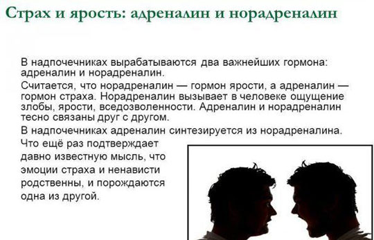 Отличие адреналина и норадреналина Физиологическое значение адреналина и норадреналина