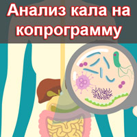 Копрологическое исследование кала