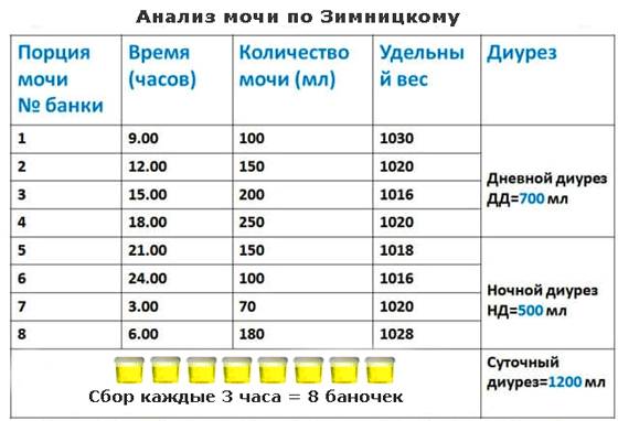 Как правильно собрать анализ мочи по Зимницкому Как собирать анализ мочи по Зимницкому по часам