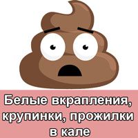 Белые вкрапления в кале у взрослого