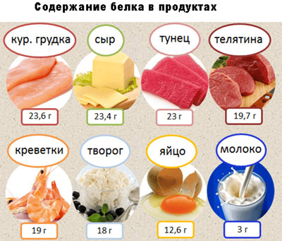 Белок в продуктах Список продуктов питания, богатых белком