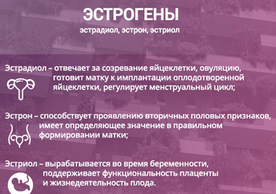 Разновидности эстрогенов За что отвечают эстрогены в организме женщины