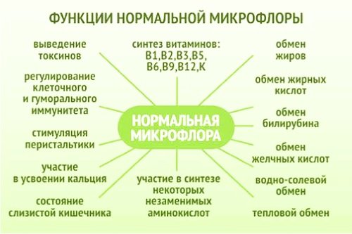 Нормальная микрофлора Функции нормальной микрофлоры