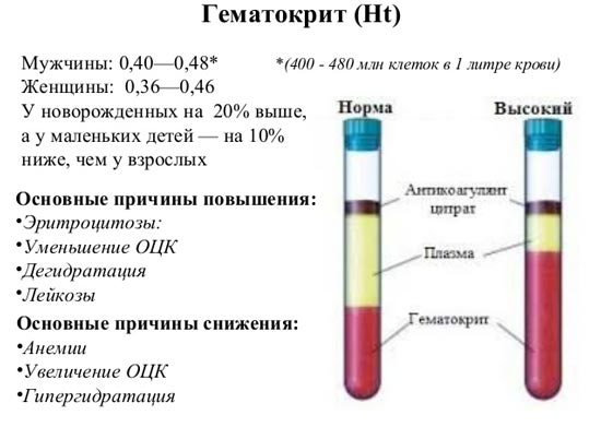 gematokrit