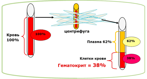 пониженный гематокрит