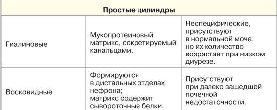 Простые цилиндры в моче На что указывает наличие гиалиновых и восковидных цилиндров в моче