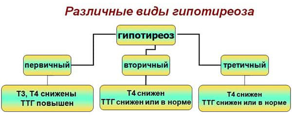 Что показывает ТТГ и Т4 при разных видах гипотиреоза Изменения показателей ТТГ и Т4 при различных видах гипотиреоза
