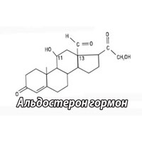 За что отвечает гормон альдостерон и как сдавать анализ