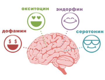 Гормоны счастья Гормоны счастья и удовольствия