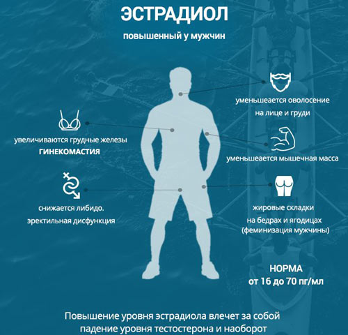 Последствия повышенного эстрадиола для мужчины Влияние повышенного эстрадиола на организм мужчины
