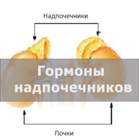 Какие гормоны вырабатывают надпочечники