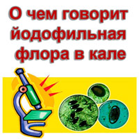 Чем грозит наличие йодофильной флоры в кале