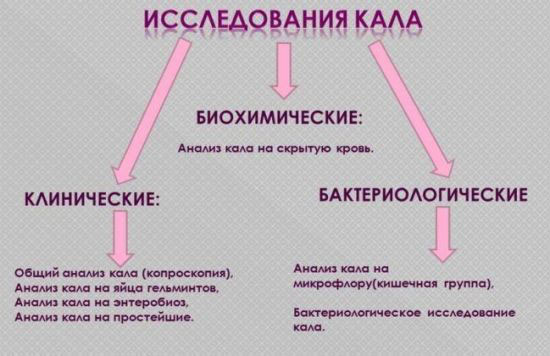 Какие виды исследования кала Какие анализы кала существуют