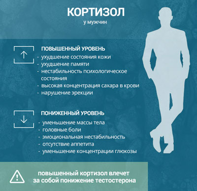 Высокий или низкий кортизол у мужчины Как проявляется повышенный или пониженный уровень кортизола у мужчин