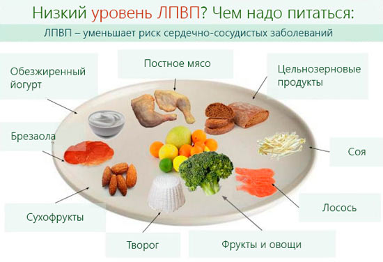 Как повысить низкий ЛПВП? Как повысить низкий ЛПВП? Какие продукты нужно есть, чтобы уменьшить риск сердечно-сосудистых заболеваний.