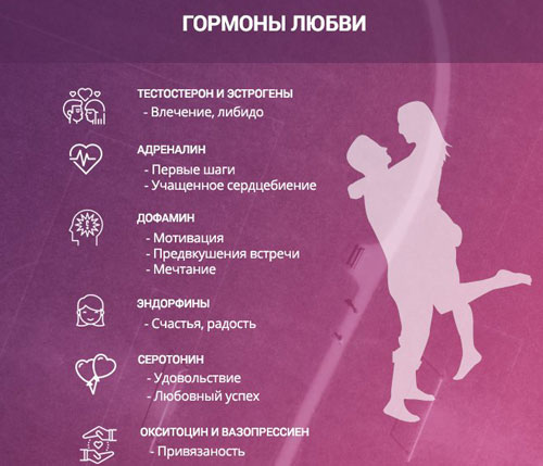 Гормоны любви Какие чувства вызывают гормоны любви