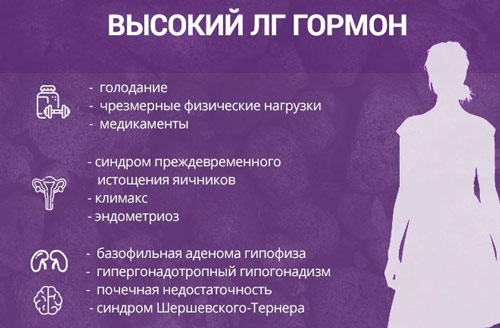 Высокий уровень лютеинизирующего гормона Из-за чего происходит повышение гормона ЛГ у женщин и к чему это приводит