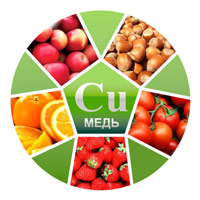Медь в продуктах питания и влияние на организм