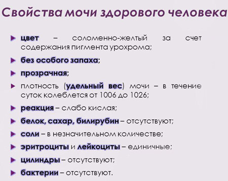 Нормальная моча здорового человека Характеристики мочи в норме