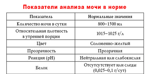 Норма показателей анализа мочи представлена в таблице Нормальные значения показателей общего анализа мочи