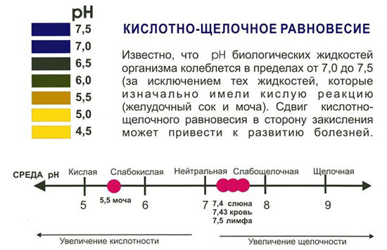 Шкала pH среды Кислотно-щелочное равновесие