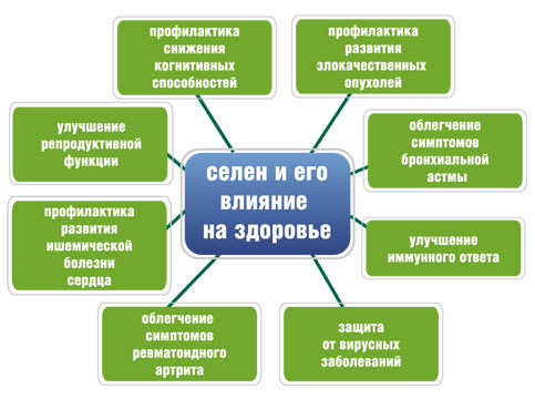 Для чего нужен селен в организме человека?