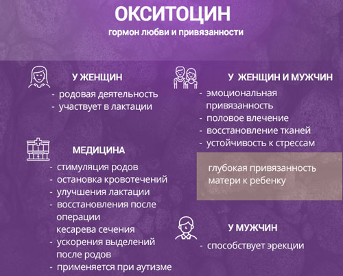 Функции окситоцина у женщин Действие гормона окситоцин на женский организм