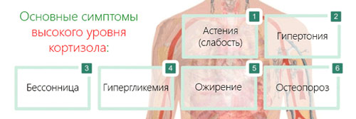 Высокий уровень кортизола Симптомы и проявления повышенного кортизола