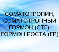 Что такое соматотропин и где образуется гормон роста