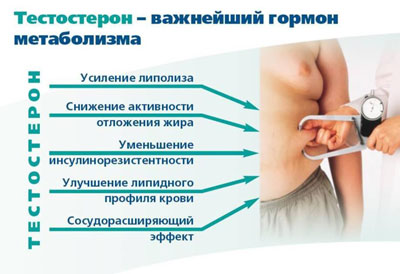 Какова роль гормона в мужском организме Для чего нужен тестостерон мужчине