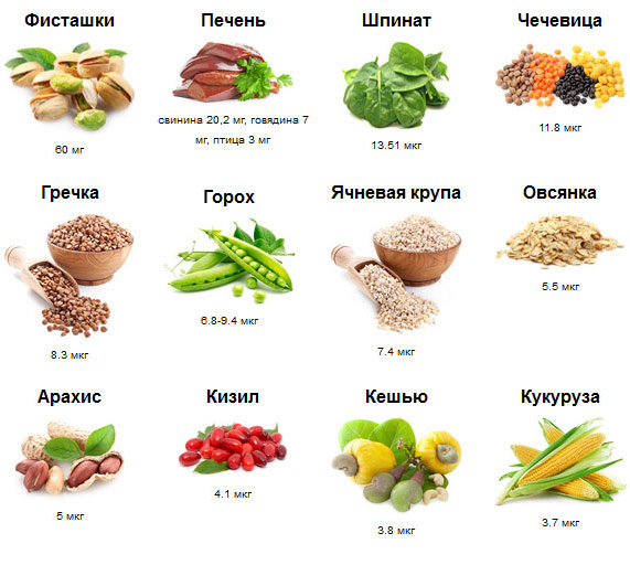 Как поднять уровень железа в крови продуктами питания