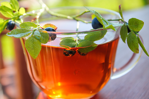 Cup of tea and a sprig of blueberries with berries and leaves
