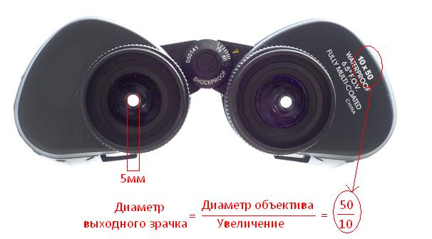 бинокль
